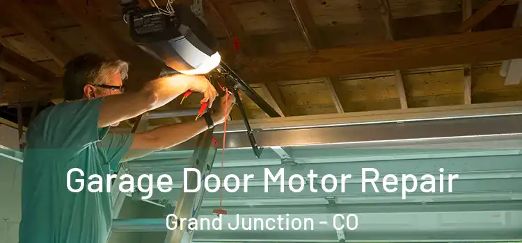  Garage Door Motor Repair Grand Junction - CO