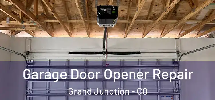  Garage Door Opener Repair Grand Junction - CO
