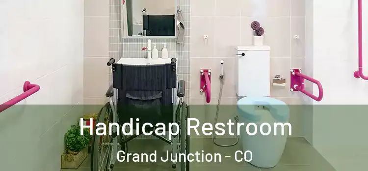 Handicap Restroom Grand Junction - CO