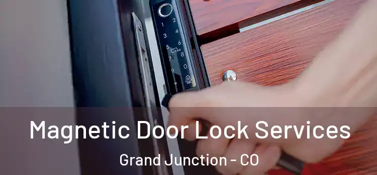 Magnetic Door Lock Services Grand Junction - CO